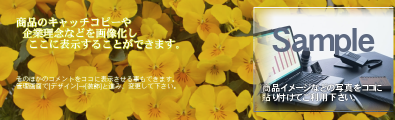 ビジュアルイメージ0003